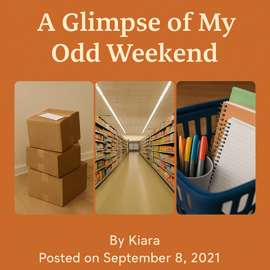 Cover Image for A glimpse of my odd weekend